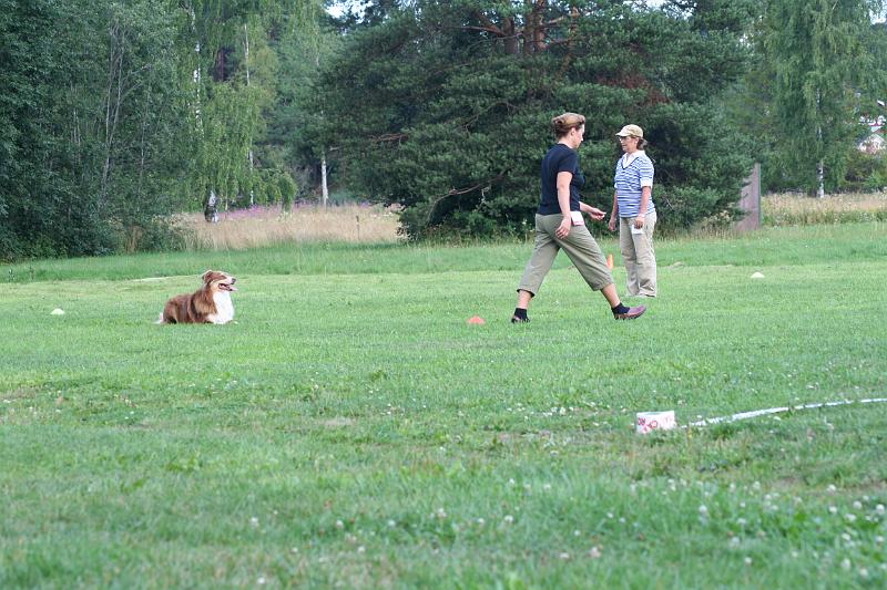 0 054.JPG